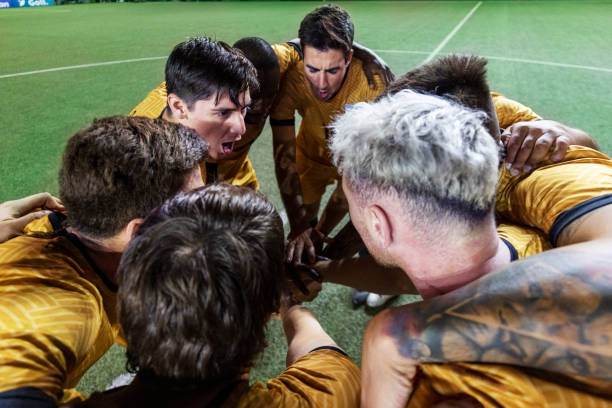 新秀签约交 新秀签约交